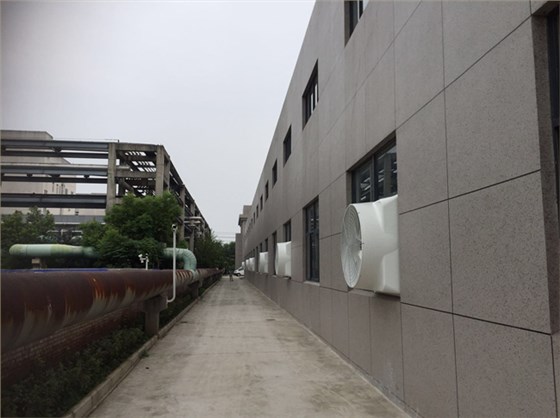 佳景6